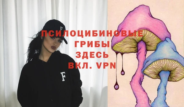 прущие грибы Алзамай